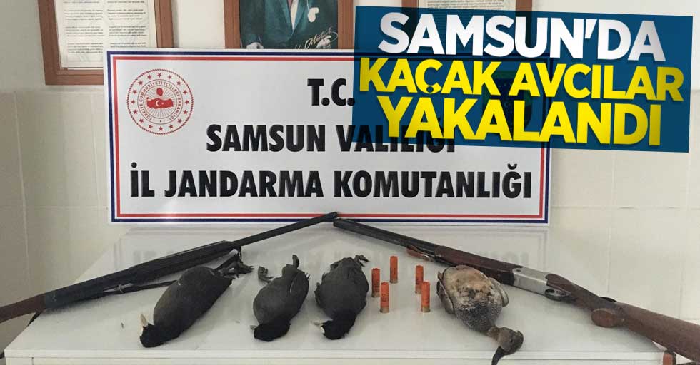 Samsun'da kaçak avcılar yakalandı