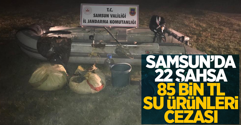Samsun'da 22 şahsa 85 bin TL su ürünleri cezası