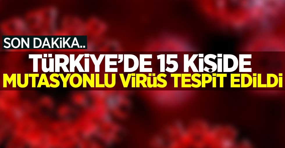 Türkiye'de 15 kişide mutasyonlu virüs tespit edildi!