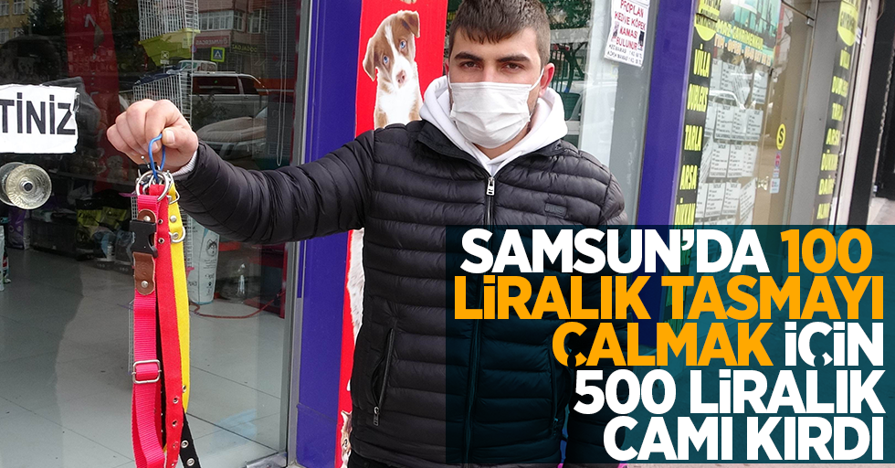 Samsun'da 100 liralık tasmayı çalmak için 500 liralık camı kırdı