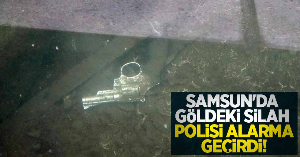Samsun'da göldeki silah polisi alarma geçirdi