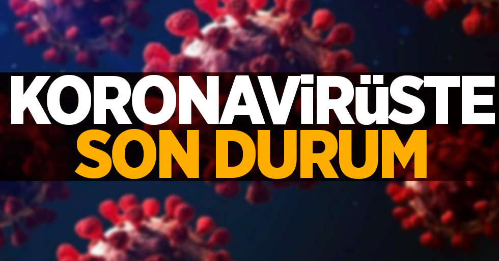 1 Mart korona virüs tablosu açıklandı