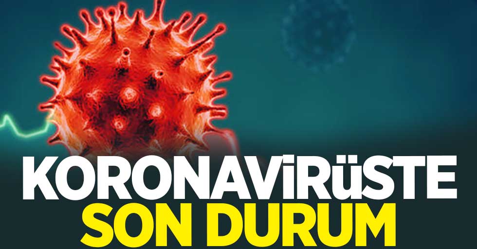 7 Mart korona virüs tablosu açıklandı.