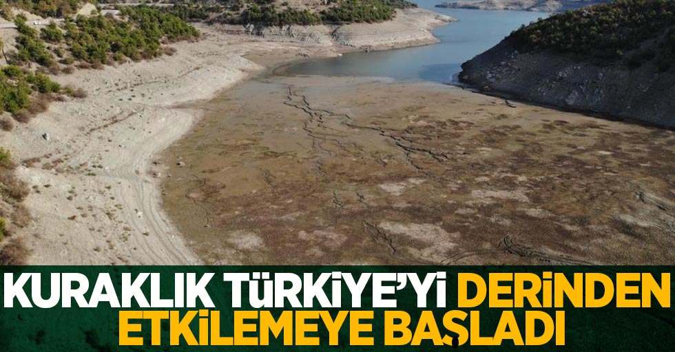 Prof. Dr. Demir: “Kuraklık Türkiye’yi derinden etkilemeye başladı”