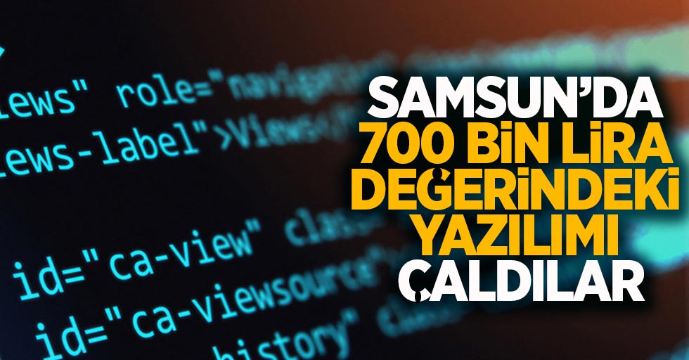 Samsun'da 700 bin lira değerindeki yazılımı çaldılar