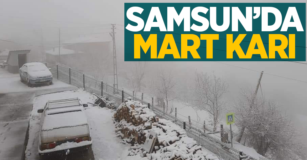 Samsun'da mart karı