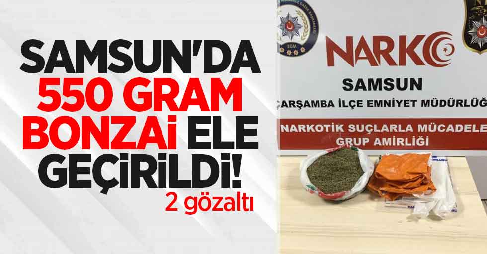 Samsun'da 550 gram bonzai ele geçirildi: 2 gözaltı