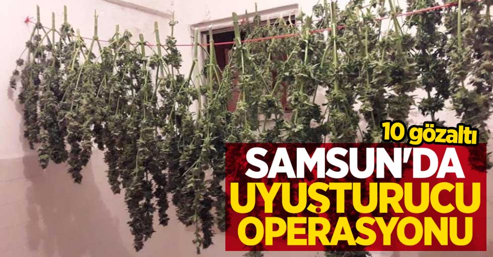 Samsun'da uyuşturucu operasyonu: 19 gözaltı