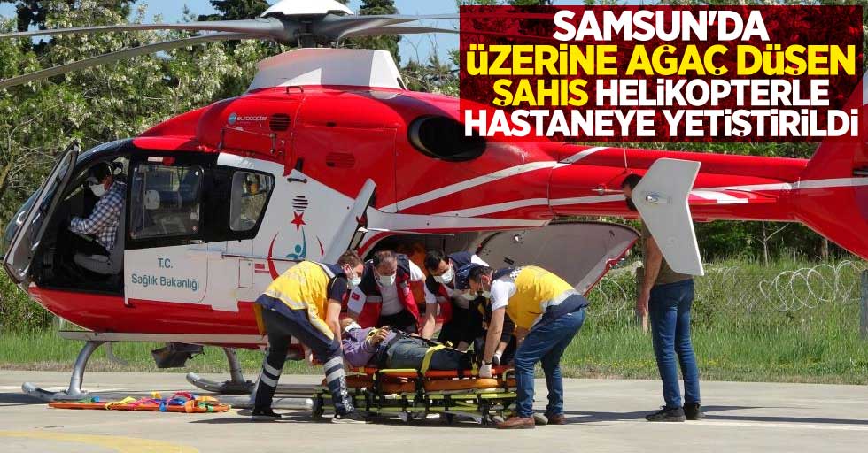 Samsun'da üzerine ağaç düşen şahıs helikopterle hastaneye yetiştirildi