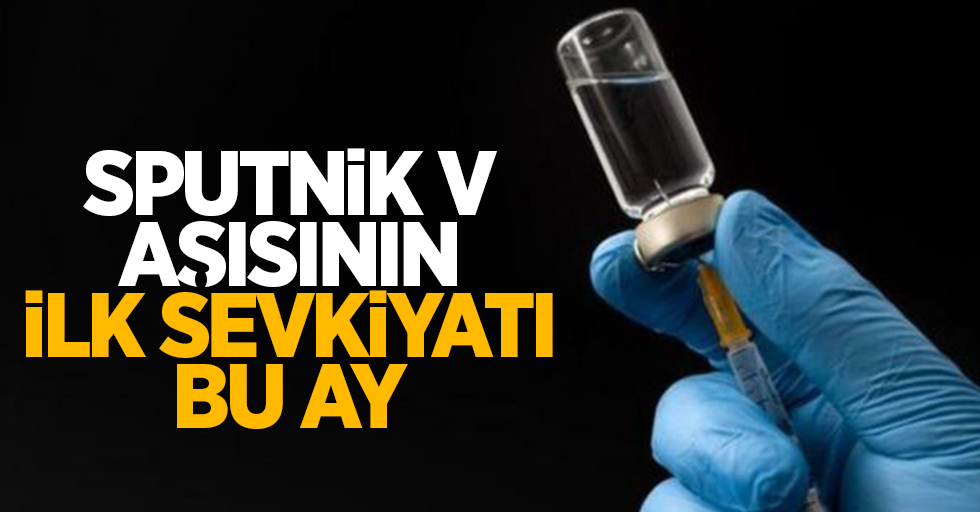 Sputnik V aşısının ilk sevkiyatı bu ay