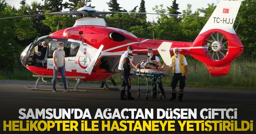 Samsun'da ağaçtan düşen çiftçi helikopter ile hastaneye yetiştirildi