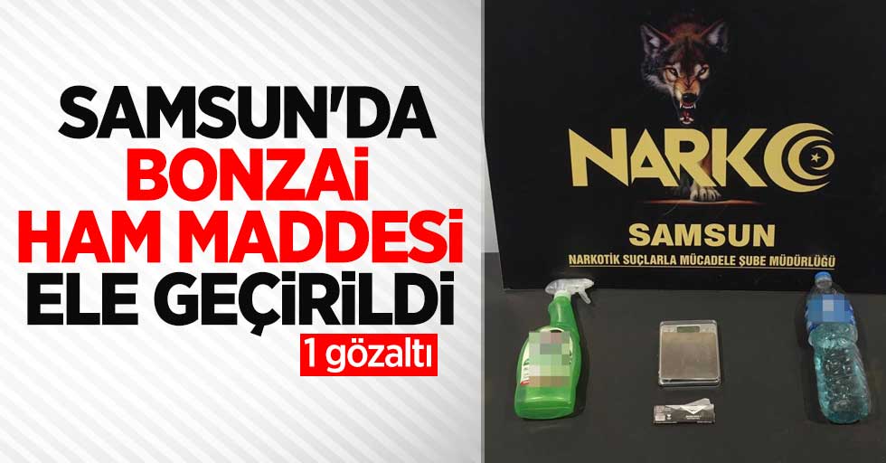 Samsun'da bonzai maddesi ele geçirildi: 1 gözaltı