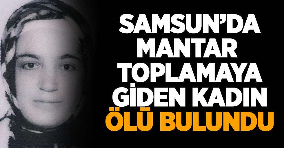 Samsun'da mantar toplamaya giden kadın ölü bulundu
