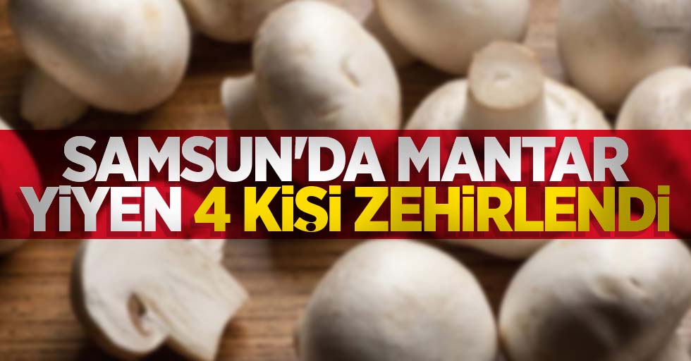 Samsun'da mantar yiyen 4 kişi zehirlendi