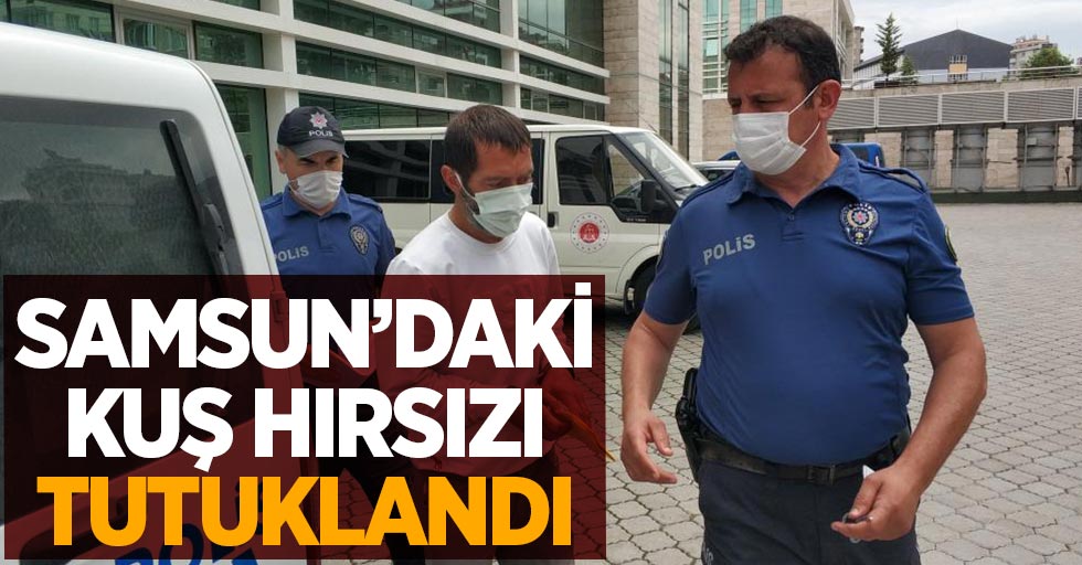 Samsun'daki kuş hırsızı tutuklandı