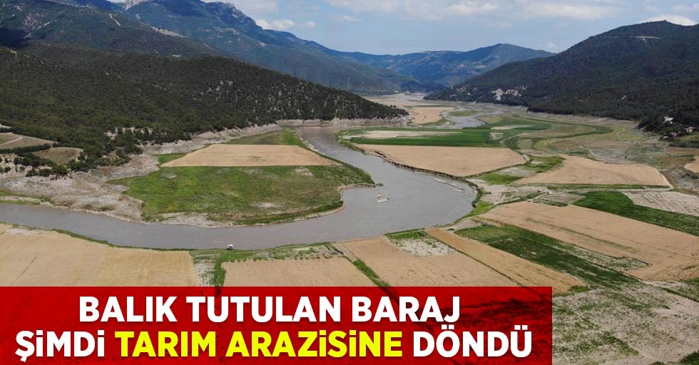Balık tutulan baraj şimdi tarım arazisine döndü