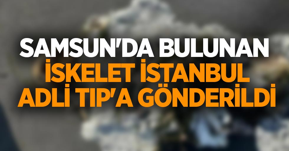 Samsun'da sahilde bulunan iskelet İstanbul Adli Tıp'a gönderildi