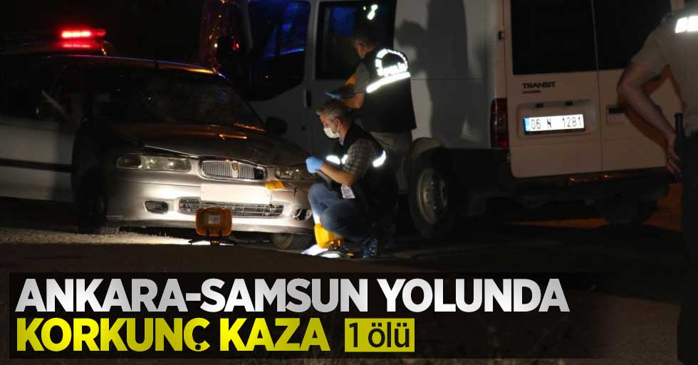 Ankara-Samsun yolunda korkunç kaza: 1 ölü 