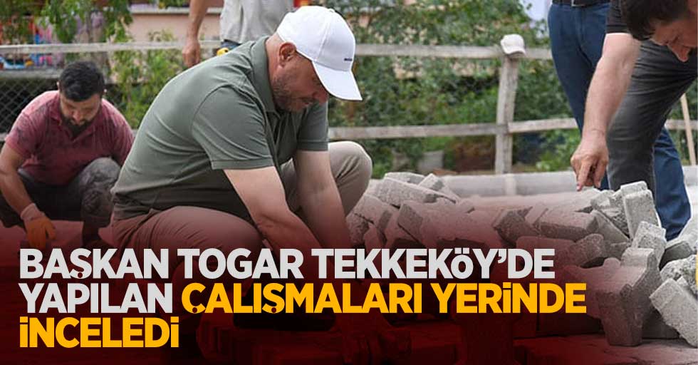 Başkan Togar Tekkeköy'de yapılan çalışmaları yerinde inceledi
