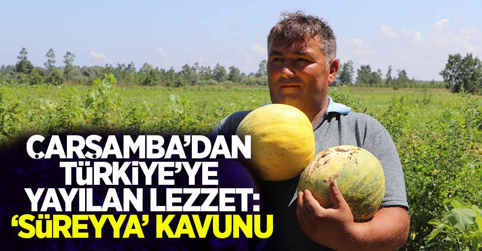 Çarşamba'dan Türkiye'ye yayılan lezzet: 'Süreyya' kavunu 