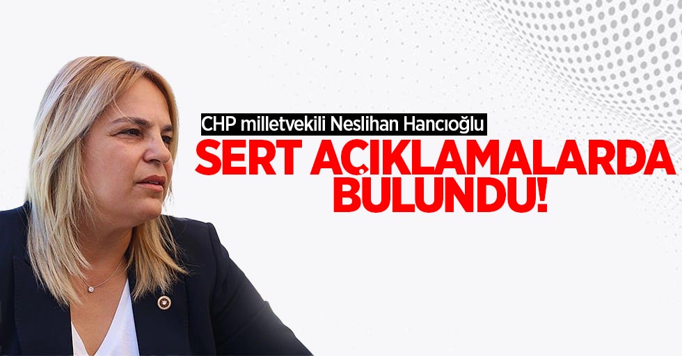 CHP milletvekili Neslihan Hancıoğlu açıklamalarda bulundu