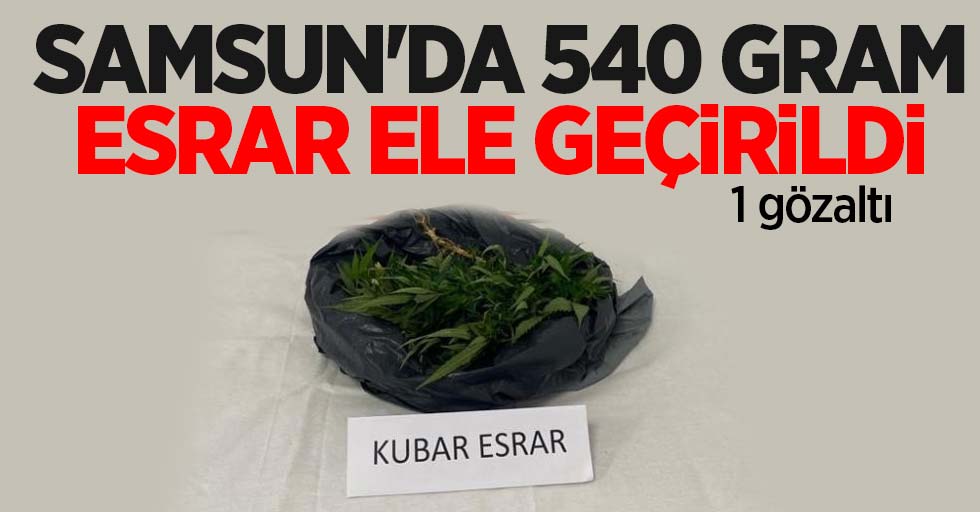 Samsun'da 540 gram esrar ele geçirildi: 1 gözaltı