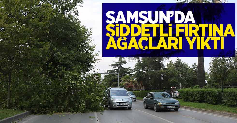 Samsun'da şiddetli fırtına ağaçları yıktı..