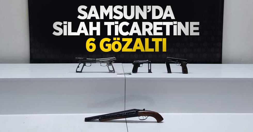 Samsun'da silah ticaretine 6 gözaltı