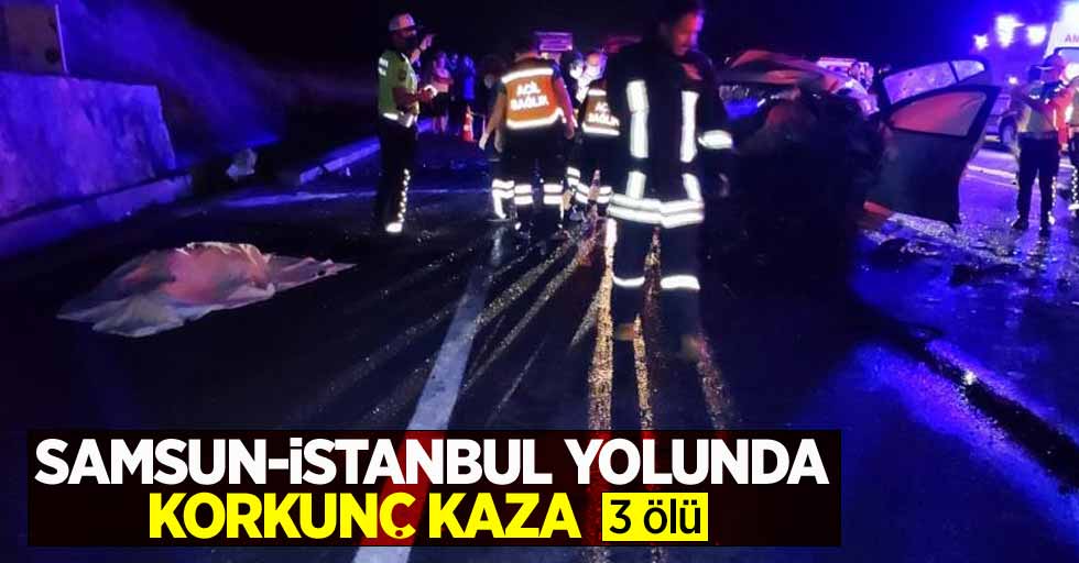 Samsun-İstanbul yolunda korkunç kaza: 3 ölü