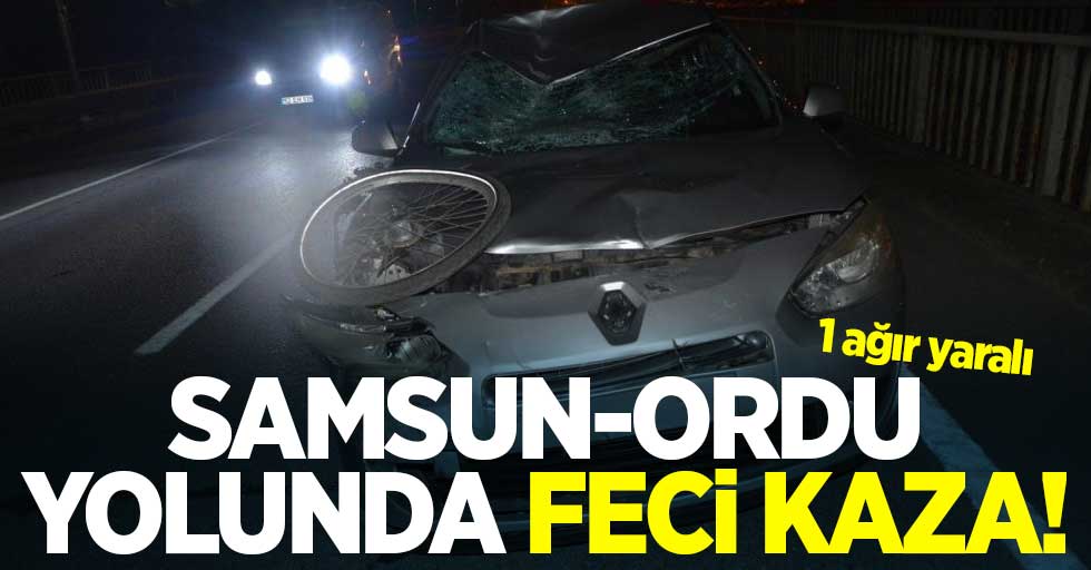 Samsun-Ordu yolunda feci kaza: 1 ağır yaralı