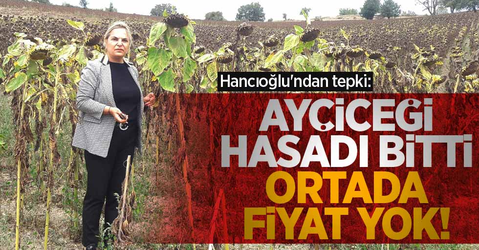 Hancıoğlu'ndan tepki: Ayçiçeği hasadı bitti, ortada fiyat yok!