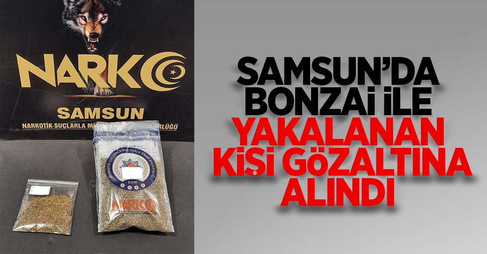 Samsun'da bonzai ile yakalanan kişi gözaltına alındı.