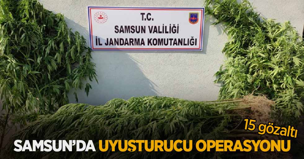 Samsun'da uyuşturucu operasyonu: 15 gözaltı