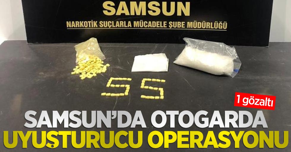 Samsun'da otogarda uyuşturucu operasyonu: 1 gözaltı