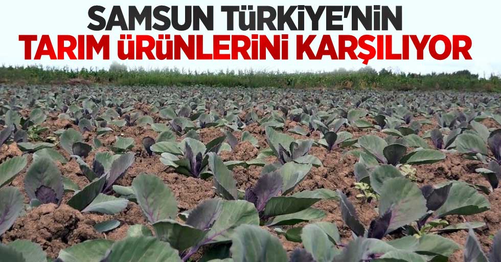 Samsun Türkiye'nin tarım ürünlerini karşılıyor