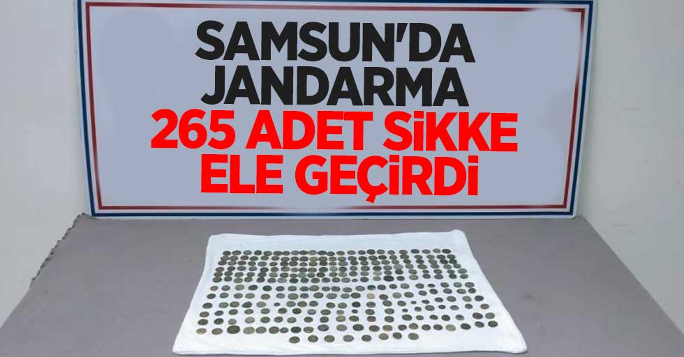 Samsun'da 265 adet sikke ele geçirildi