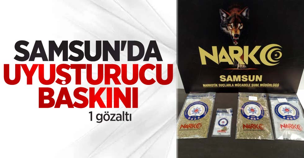 Samsun'da uyuşturucu baskını: 1 gözaltı