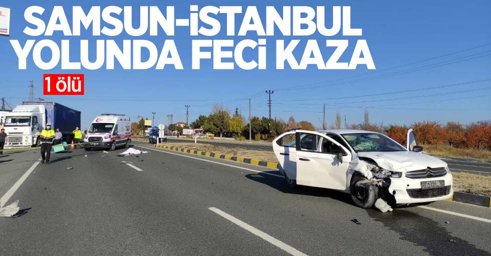Samsun-İstanbul yolunda feci kaza: 1ölü