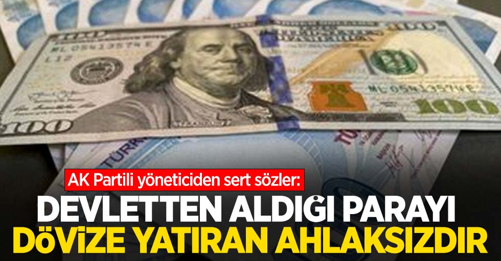 AK Partili yöneticiden sert açıklamalar: Devletten aldığı parayı dövize yatıran ahlaksızdır
