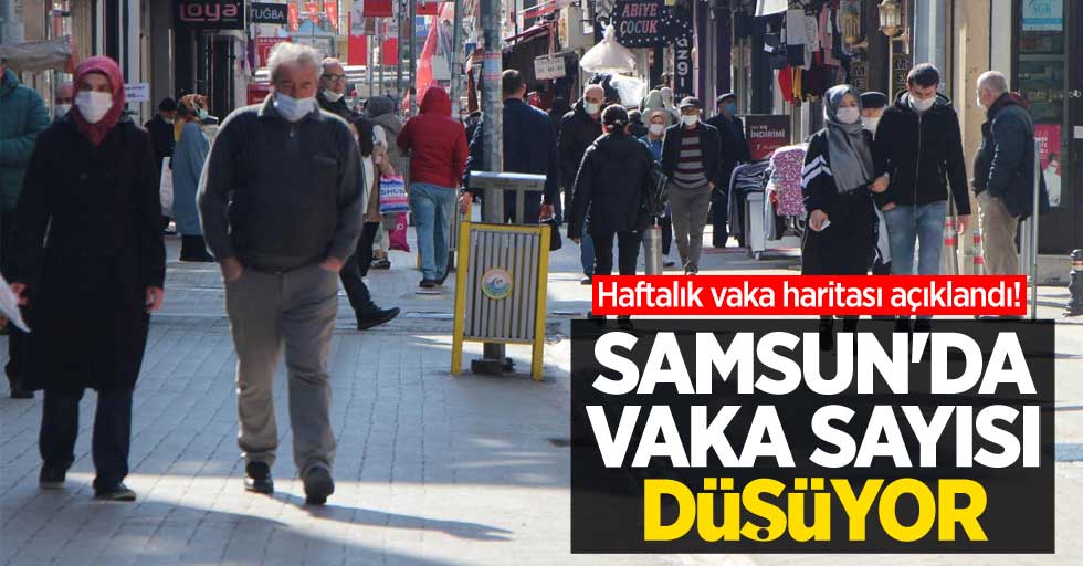 Haftalık vaka haritası açıklandı! Samsun'da vaka sayısı düşüyor