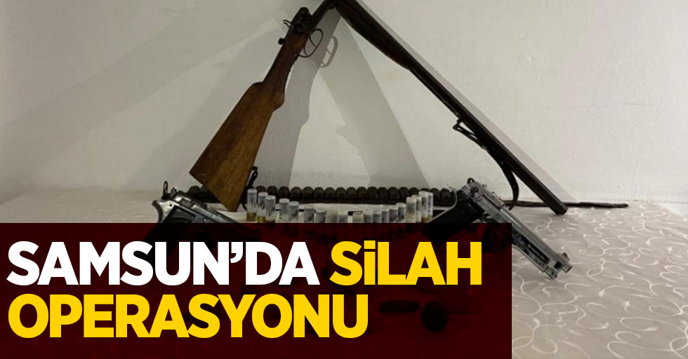 Samsun'da silah operasyonu