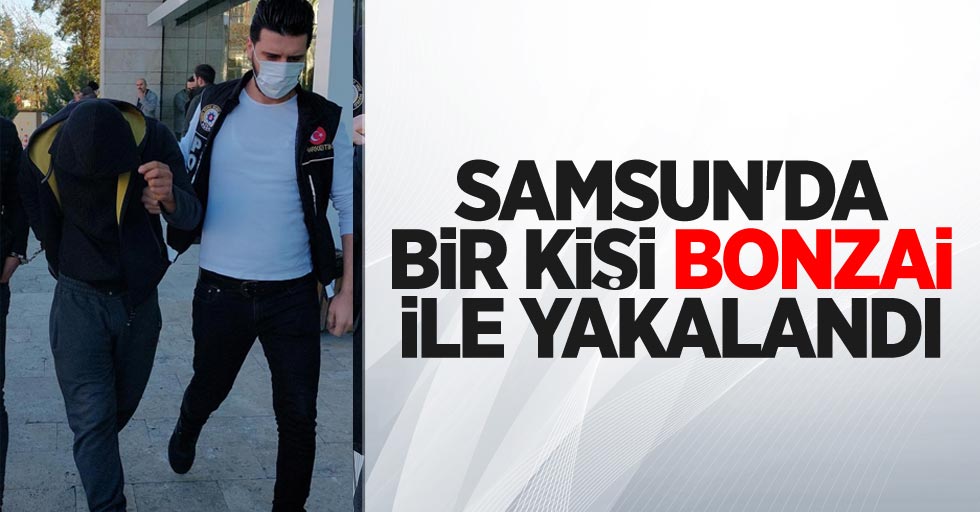 Samsun'da bir kişi bonzai ile yakalandı