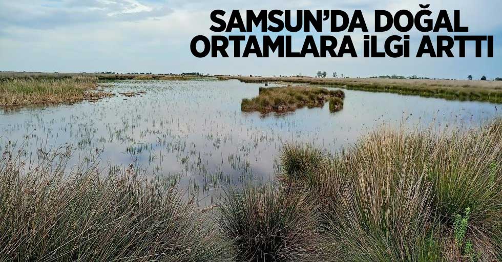 Samsun'da doğal ortamlara ilgi arttı