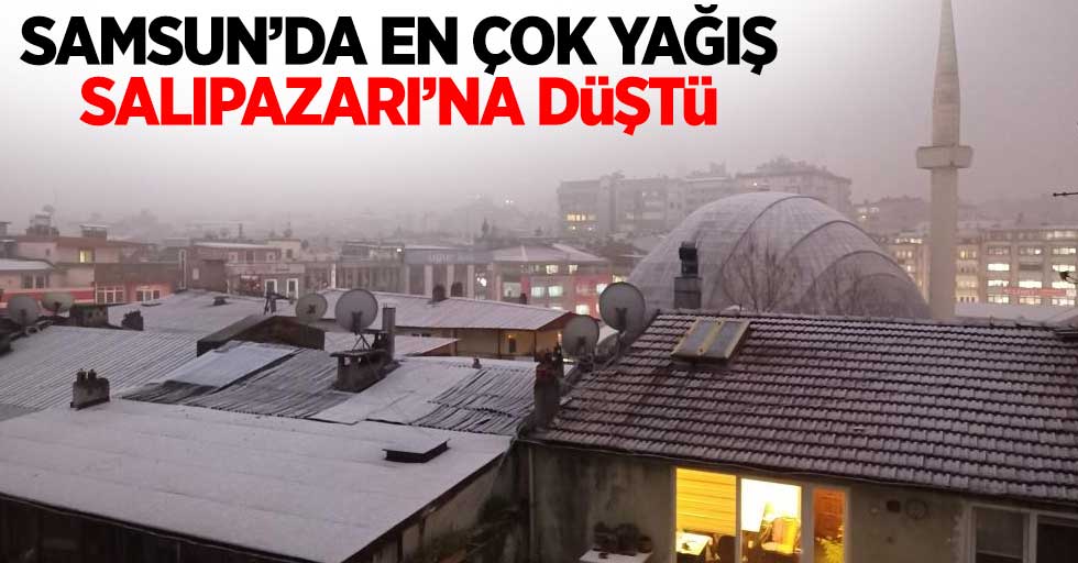 Samsun'da en çok yağış Salıpazarı'na düştü