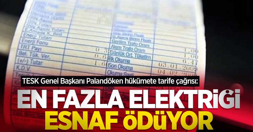 TESK Genel Başkanı Palandöken hükümete tarife çağrısı: En fazla elektriği esnaf ödüyor