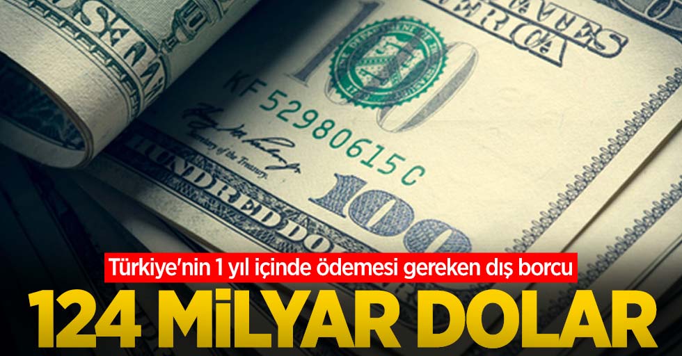 Türkiye'nin 1 yıl içinde ödemesi gereken dış borcu: 124 milyar dolar