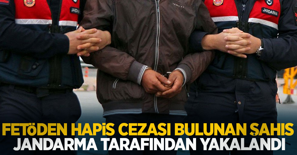 FETÖ'den 6 yıl 3 ay hapis cezası bulunan şahıs jandarma tarafından yakalandı