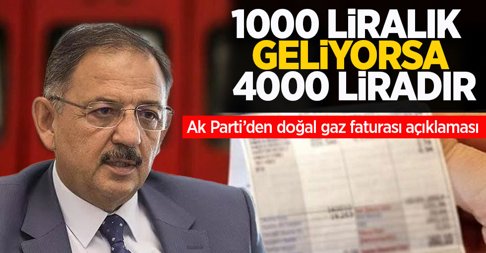 Özhaseki'den doğal gaz faturası açıklaması: 1000 liralık geliyorsa 4000 liradır