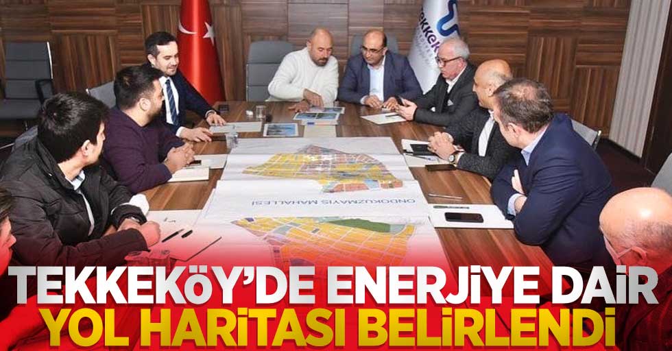 Tekkeköy'de enerjiye dair yol haritası belirlendi