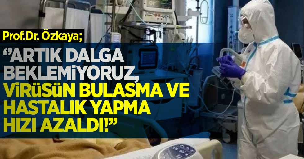 Prof. Dr. Özkaya: "Artık Dalga Beklemiyoruz, Virüsün Bulaşma ve Hastalık Etme Hızı Yavaşladı"